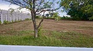 Plot Area in  Plot at Moinabad – for Sale