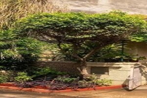 6+ BHK Villa – Garden View at New Friends Colony - for Sale