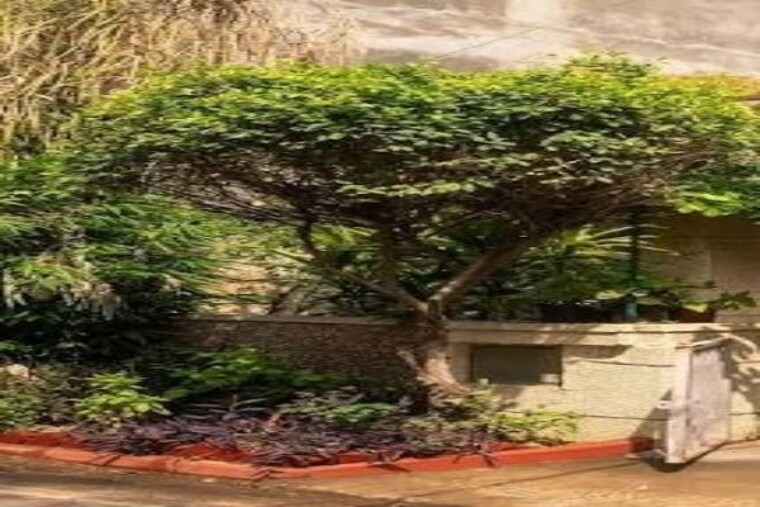 Garden, new friends colony 6+ Bedroom 500 Sq.Yd. Villa In New Friends Colony Delhi 10598641