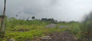 Plot Area in  Land at Singur – for Rent