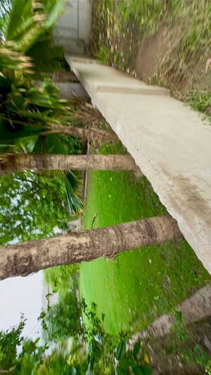 2 BHK Independent House – Garden View at Hathijan - for Rent