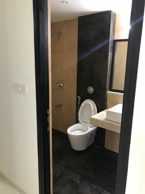 Bathroom in 1 BHK Apartment at Ace Enclave, Ghodbunder Road – for Rent