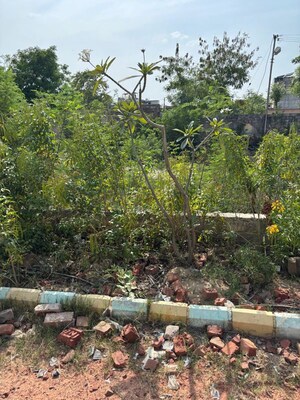 Plot Area in  Plot at Chandwaji – for Sale