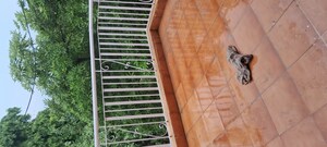 Balcony in 2.5 BHK Apartment at Sarita Vihar – for Rent