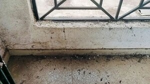  Apartment – Exterior View View at Shirdhon - for Sale