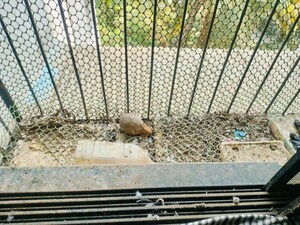 Balcony in  Apartment at Dombivli – for Sale