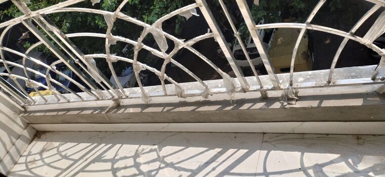 Balcony, khirki extension 2 Bedroom 750 Sq.Ft. Builder Floor In Khirki Extension Delhi 10599444