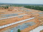 300 Sq.Yd. Plot in Fortune Butterfly City