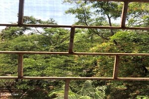 1 BHK Apartment – Exterior View View at Parashar CHS, Kharadi - for Rent