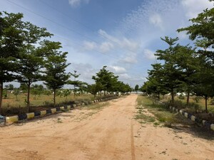 Plot Area in  Plot at Katedhan – for Sale