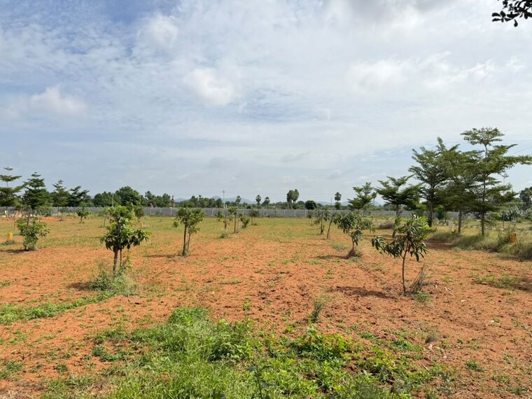 undefined, katedhan  605 Sq.Ft. Plot In Katedhan Hyderabad 10599991