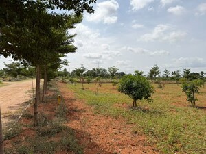 Plot Area in  Plot at Katedhan – for Sale