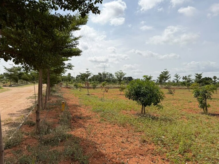 undefined, katedhan  605 Sq.Ft. Plot In Katedhan Hyderabad 10599991