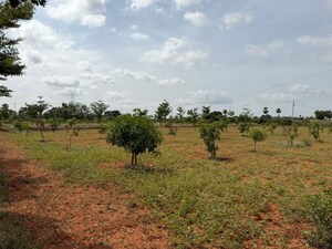 Plot Area in  Plot at Katedhan – for Sale