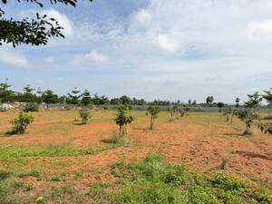 Plot Area in  Plot at Agapally – for Sale