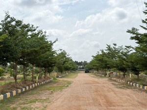 Plot Area in  Plot at Agapally – for Sale