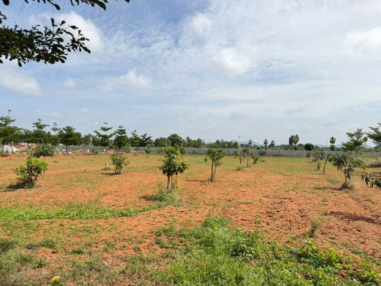undefined, katedhan  363 Sq.Ft. Plot In Katedhan Hyderabad 10600002