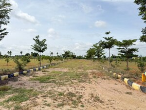 Plot Area in  Plot at Katedhan – for Sale
