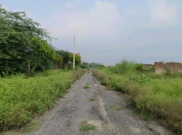 undefined, rohini sector 34  52 Sq.Mt. Plot In Rohini Sector 34 Delhi 10600015