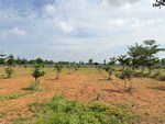 200 Sq.Yd. Plot in Agapally