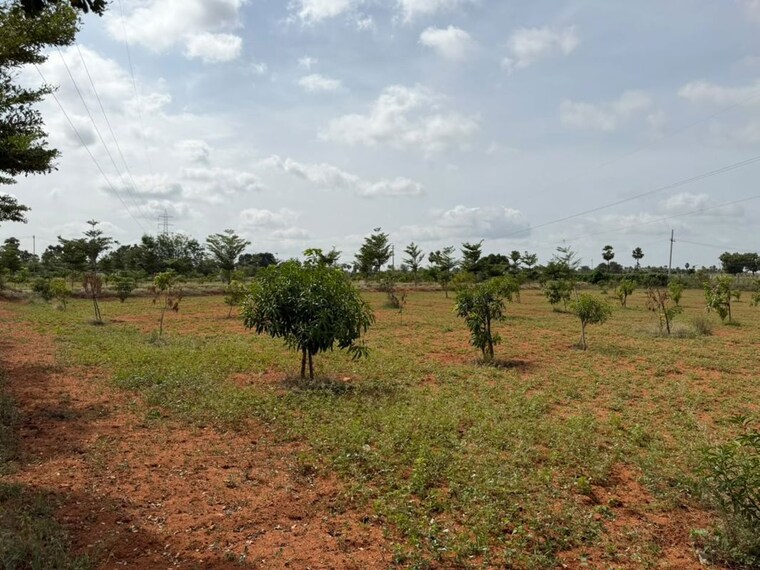 undefined, katedhan  121 Sq.Yd. Plot In Katedhan Hyderabad 10600051