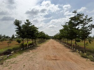 Plot Area in  Plot at Katedhan – for Sale