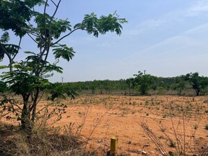 Plot Area in  Plot at Tukkuguda – for Sale