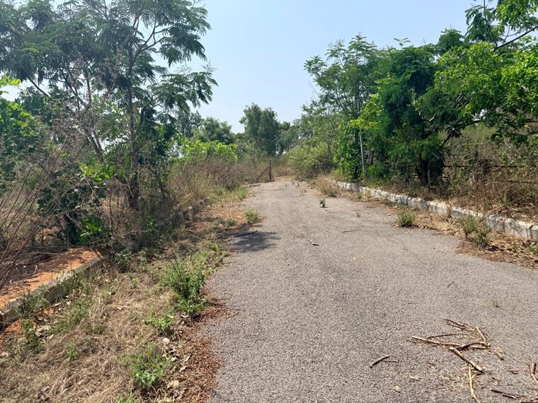 Garden, tukkuguda  300 Sq.Yd. Plot In Tukkuguda Hyderabad 10600056