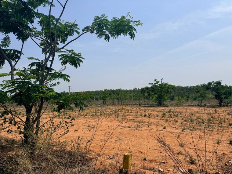 undefined, maheshwaram  200 Sq.Yd. Plot In Maheshwaram Hyderabad 10600067