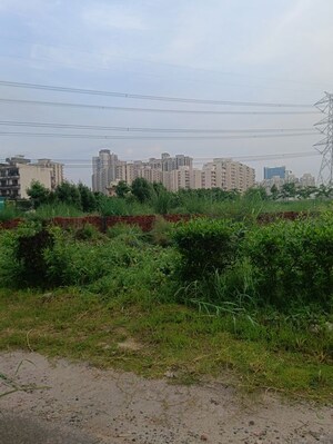  Plot For Sale in BPTP Amstoria Plot, Sector 102