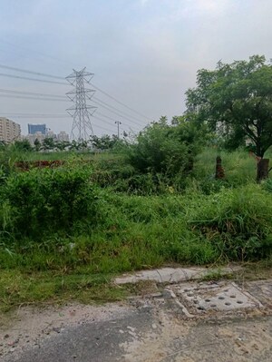 Plot Area in  Plot at BPTP Amstoria Plot, Sector 102 – for Sale