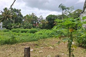 Plot For Sale in Irinjalakuda