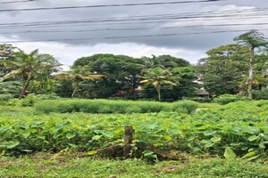  Plot – Garden View at Irinjalakuda - for Sale