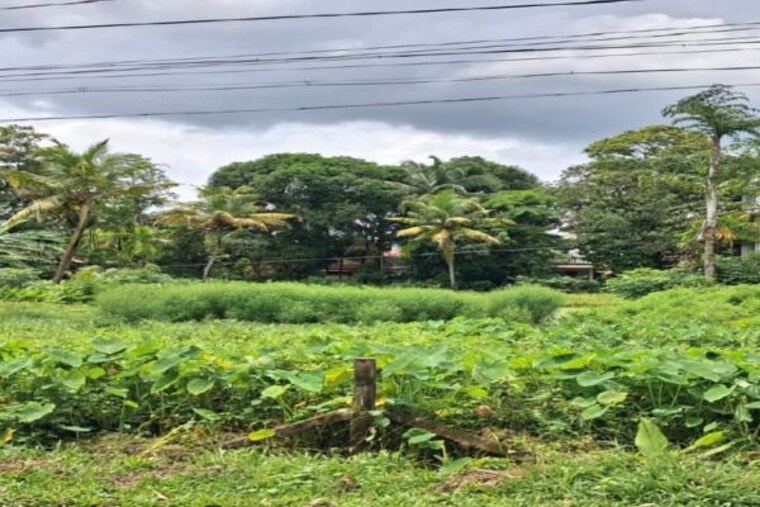 Garden, irinjalakuda  19491 Sq.Ft. Plot In Irinjalakuda Thrissur 10600161