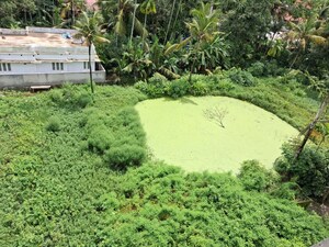 Plot Area in  Plot at Irinjalakuda – for Sale