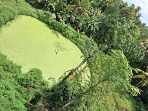 Plot Area in  Plot at Irinjalakuda – for Sale