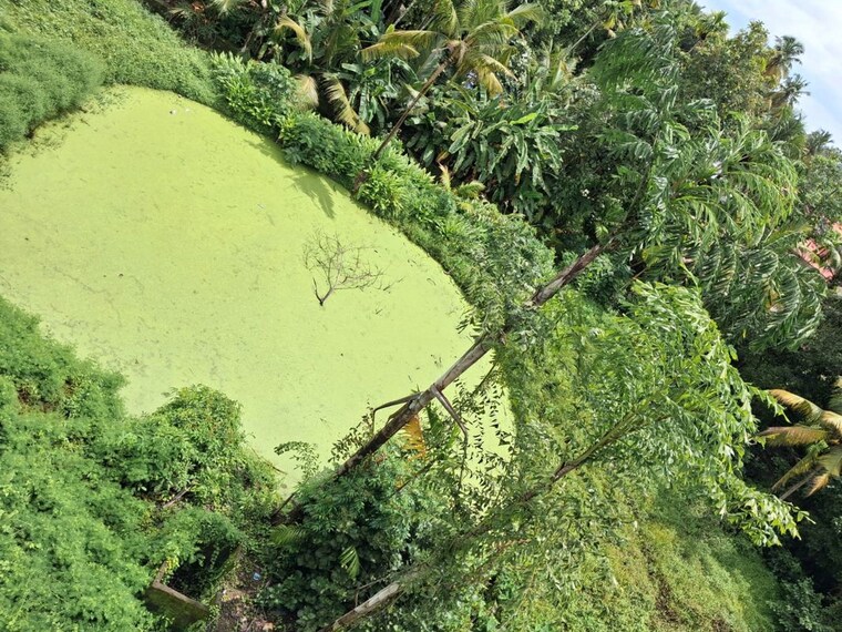 undefined, irinjalakuda  19491 Sq.Ft. Plot In Irinjalakuda Thrissur 10600161
