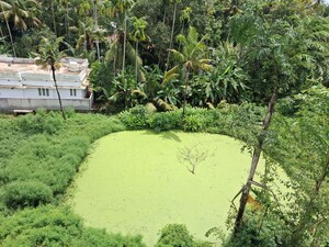 Plot Area in  Plot at Irinjalakuda – for Sale