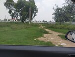 1 Rk  350 Sq.Ft. Apartment in Arun Vihar Sector 37