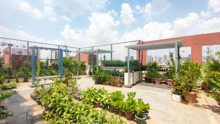 Garden, adani-samsara 3 Bedroom 2500 Sq.Ft. Apartment In Sector 60 Gurgaon 10600190