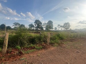 Plot Area in  Plot at Kaggalipura – for Sale