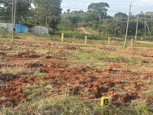 Plot Area in  Plot at Kaggalipura – for Sale