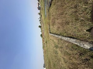  Plot For Sale in Sikri