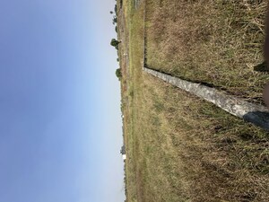 Plot Area in  Plot at Sikri – for Sale