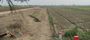  Plot For Sale in Karmali Chowk