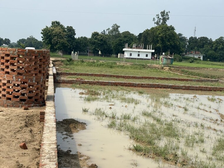 undefined, harhua  1250 Sq.Ft. Plot In Harhua Varanasi 10600417