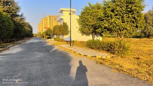  Plot – Garden View at Sector 19 - for Sale