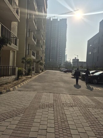 2 BHK Apartment For Rent in Palm Marina Suites in Nh 24, Ghaziabad