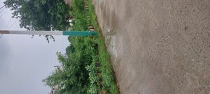 Plot Area in  Plot at Ghatwasan – for Sale