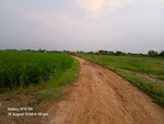 100 Sq.Yd. Plot in Kosi